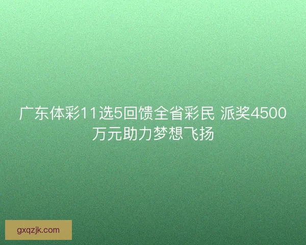 广东体彩11选5回馈全省彩民 派奖4500万元助力梦想飞扬